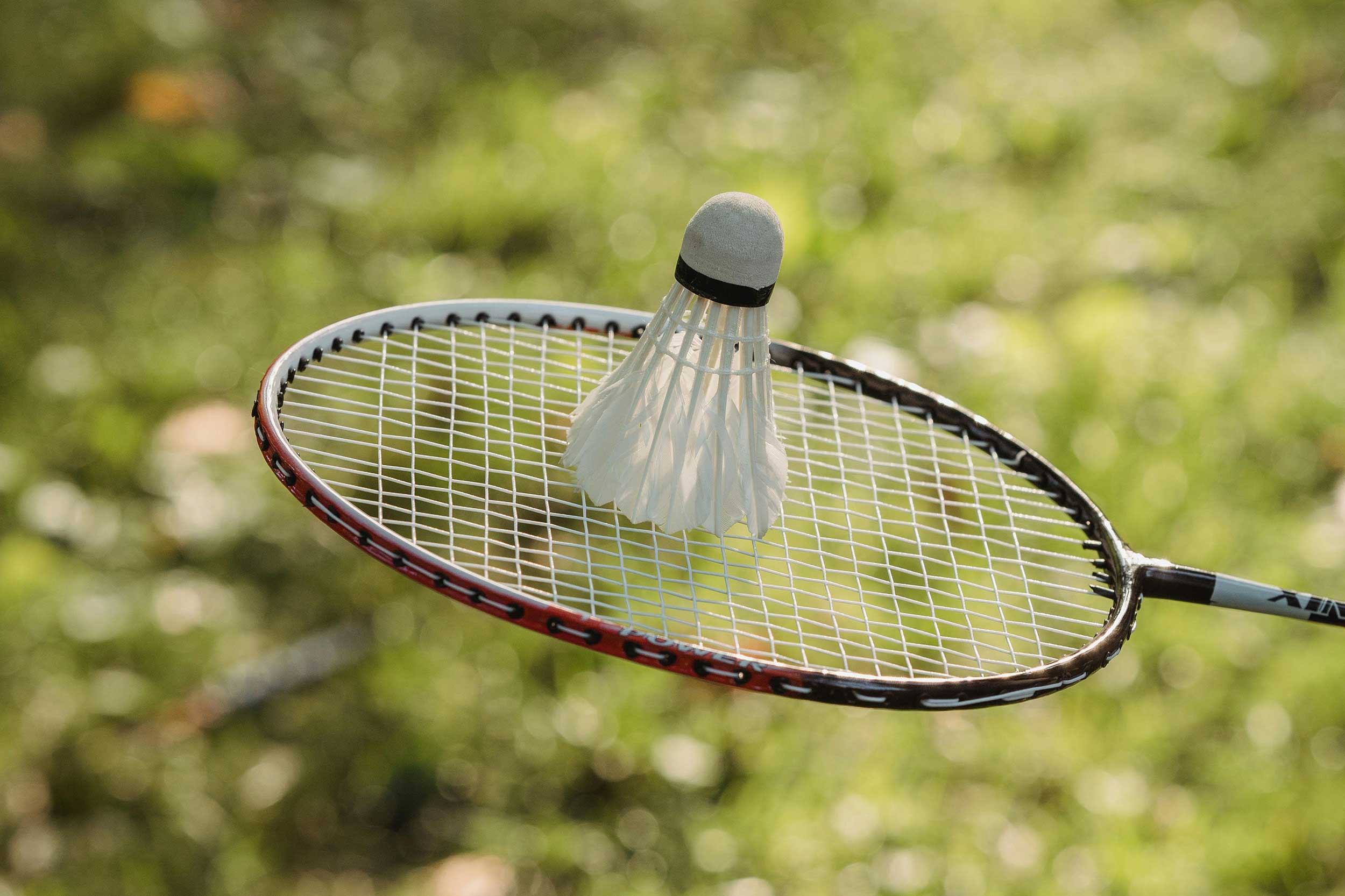 Racquet and shuttlecock
